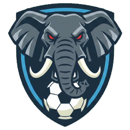 Logo Dream team