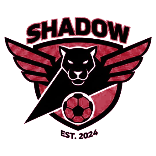 Logo Shadow