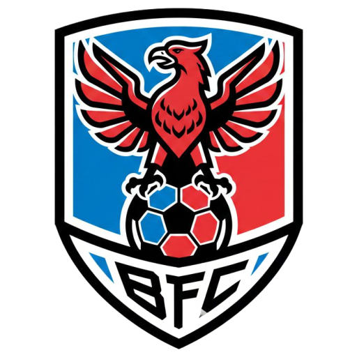 Logo Bardys FC