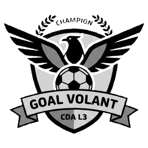 Logo Goal Volant